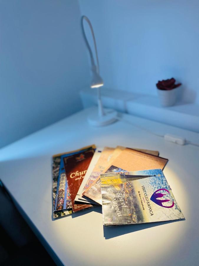 Apartament Downtown Studio Kluż-Napoka Zewnętrze zdjęcie