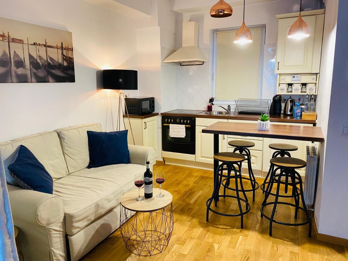 Apartament Downtown Studio Kluż-Napoka Zewnętrze zdjęcie
